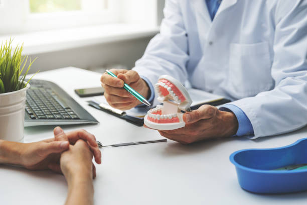 Why Choose Us for Your Dental Needs in Mound, MN